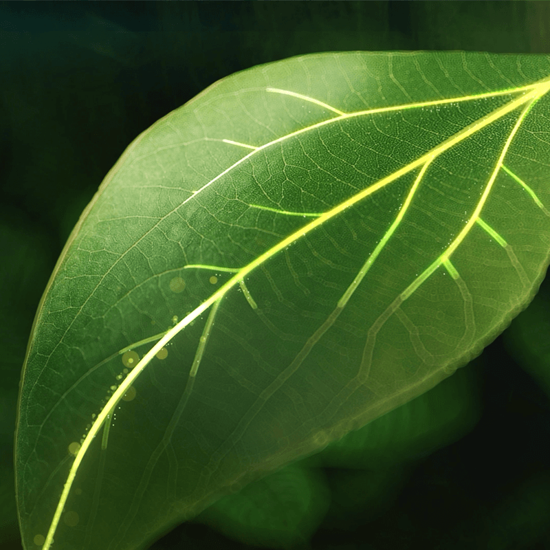 For the First Time, Incorporating Halogen-Free, Low-Smoke and Other Environmental Performances into Industry Benchmarks